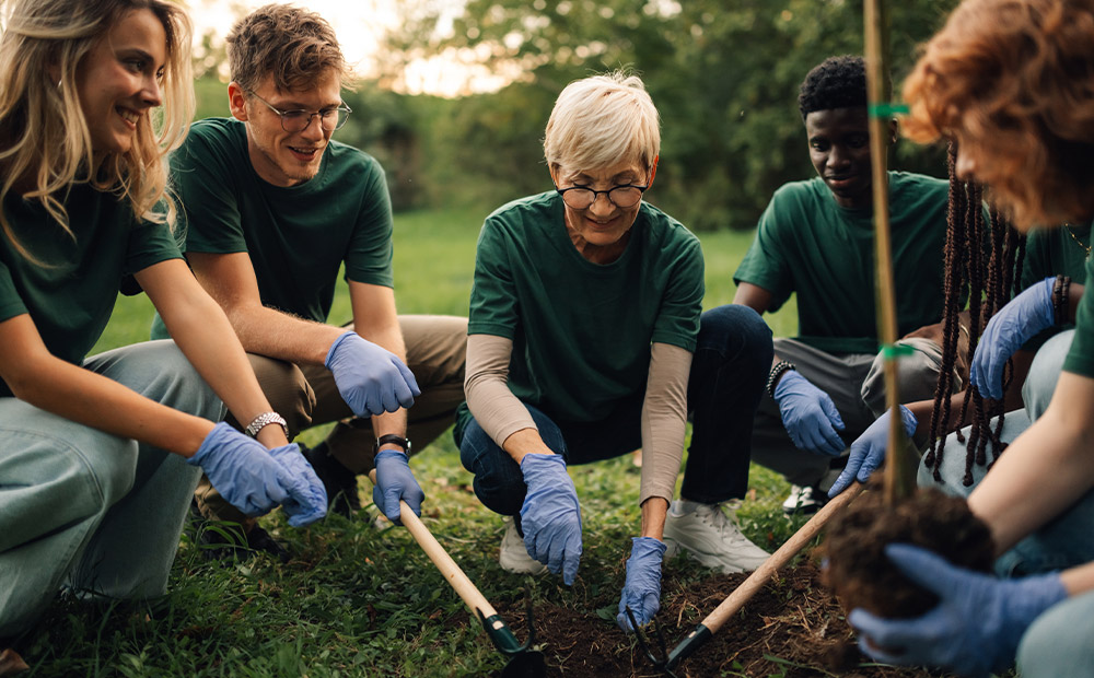 Un grupo de trabajo colabora en un proyecto comunitario, plantando árboles en una zona verde.