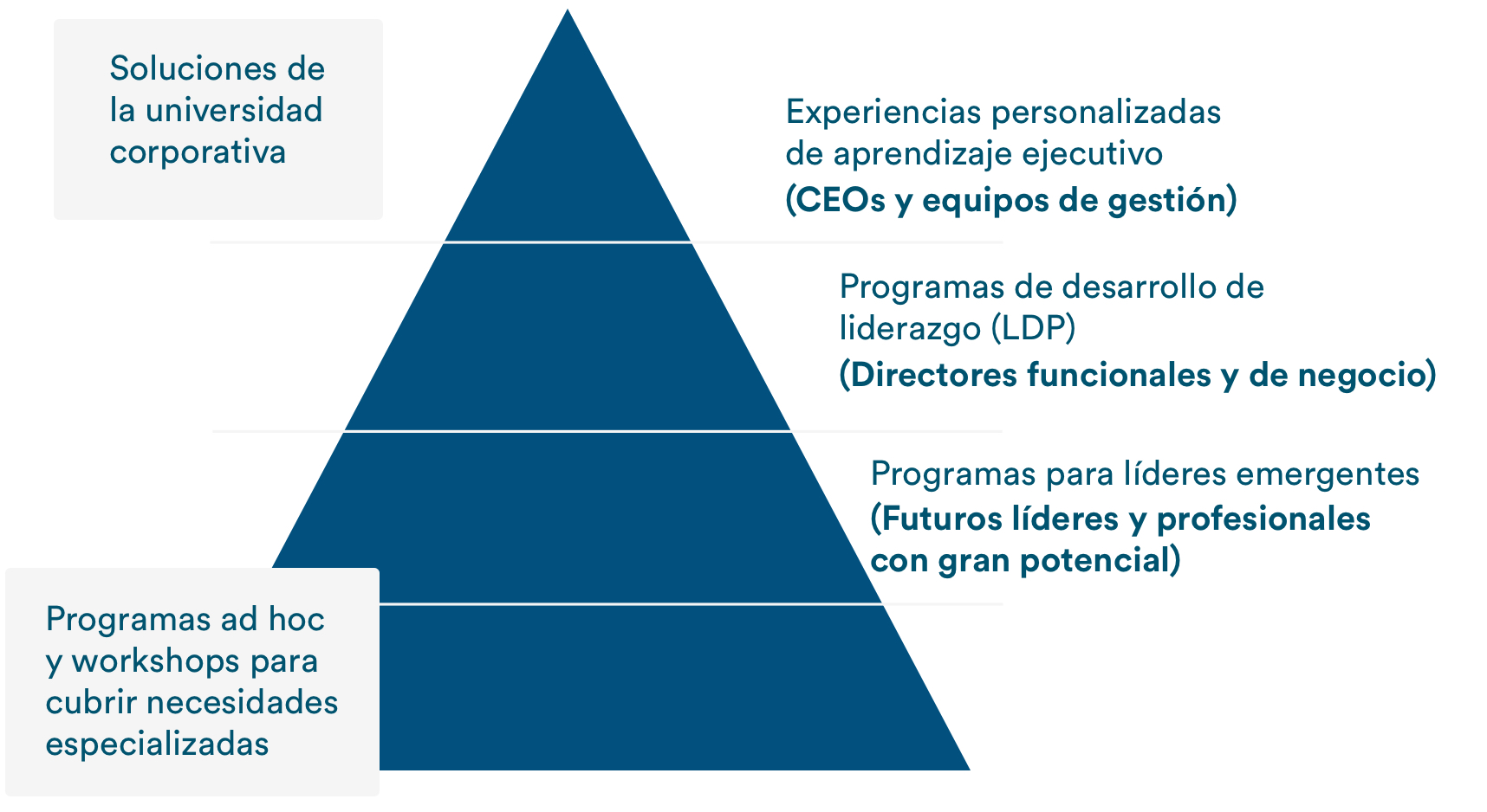 A quién nos dirigimos - infografía