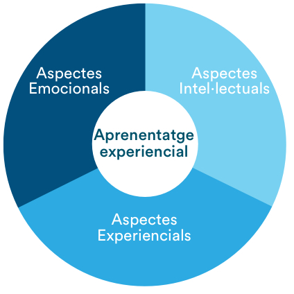 Aspectos competenciales