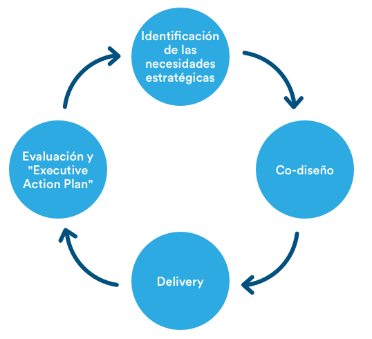 Proceso de diseño en fases