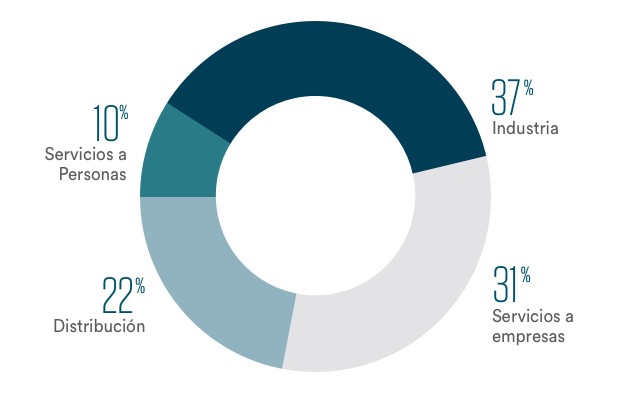 Gráfica por sector de actividad