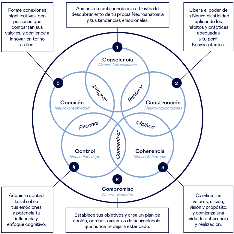 circulo de resiliencia