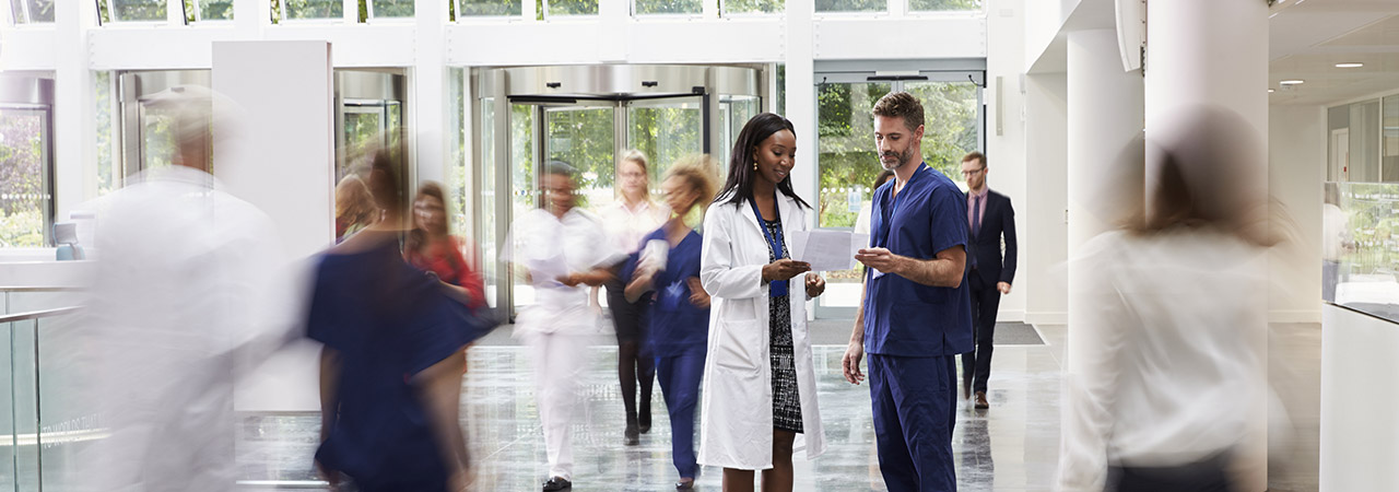 Perfil del participante