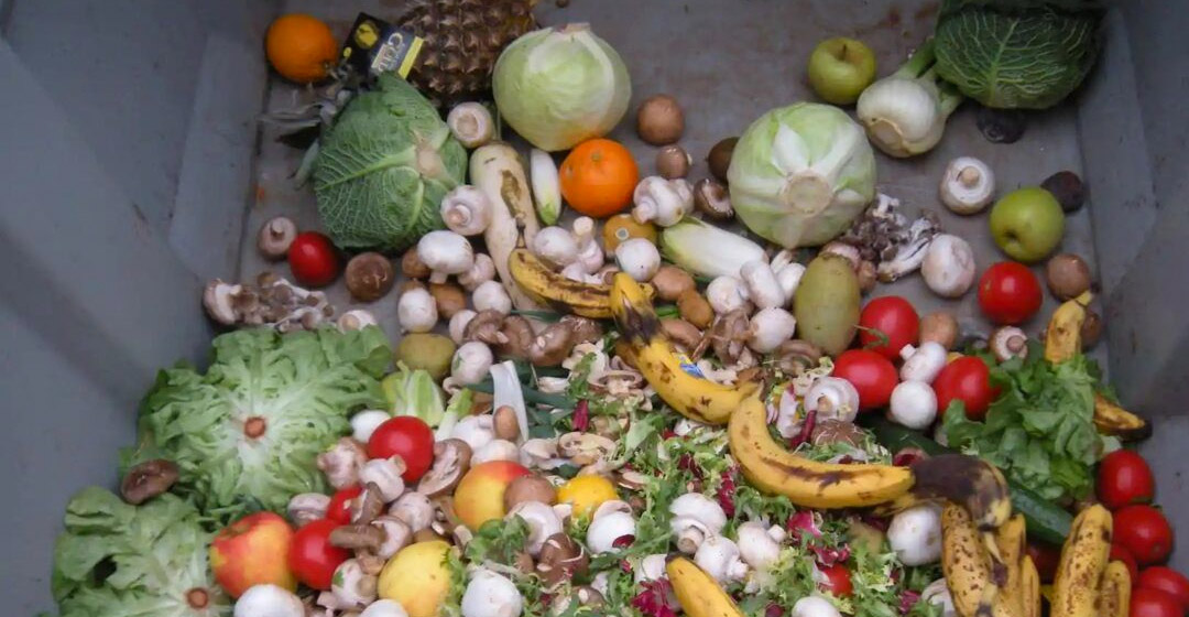 Verduras en la basura