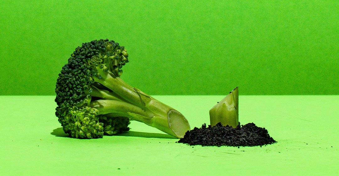 brocoli fondo verde