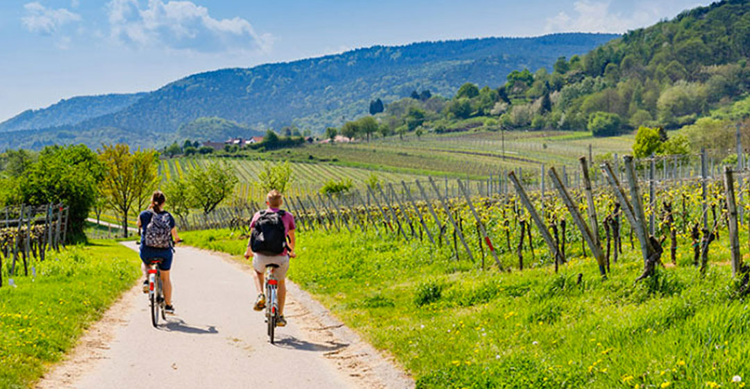 dos bicicletas paisaje
