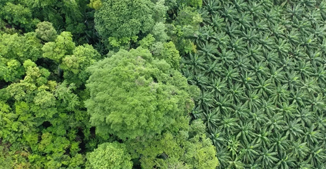 Las paradojas que bloquean los objetivos de sostenibilidad de las empresas