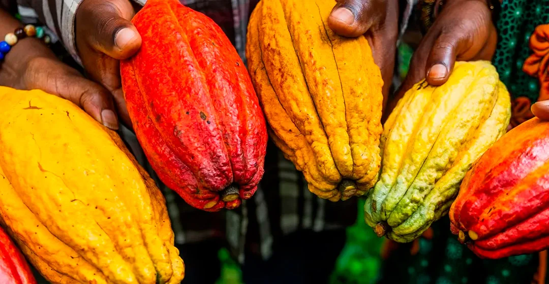 El papel de los intermediarios en la sostenibilidad del sistema alimentario
