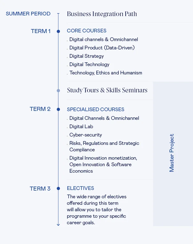 MSc in Digital Business - Curriculum