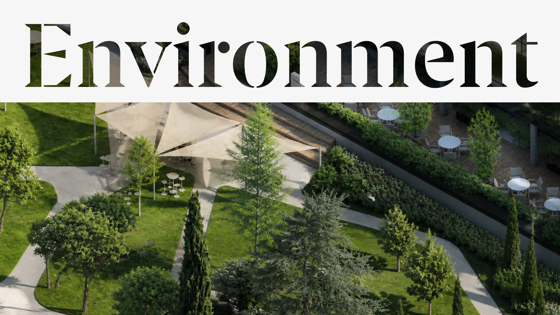 Divisor Entorno
