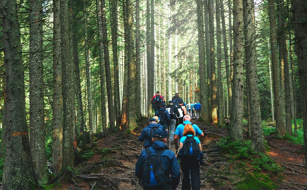 Actividad team building empresas aire libre excursión montaña